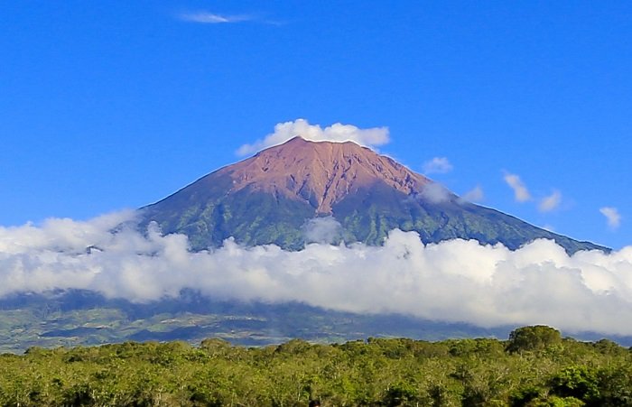 Taman Nasional Kerinci Seblat (TNKS). (Dok. tnkerinciseblat.com)